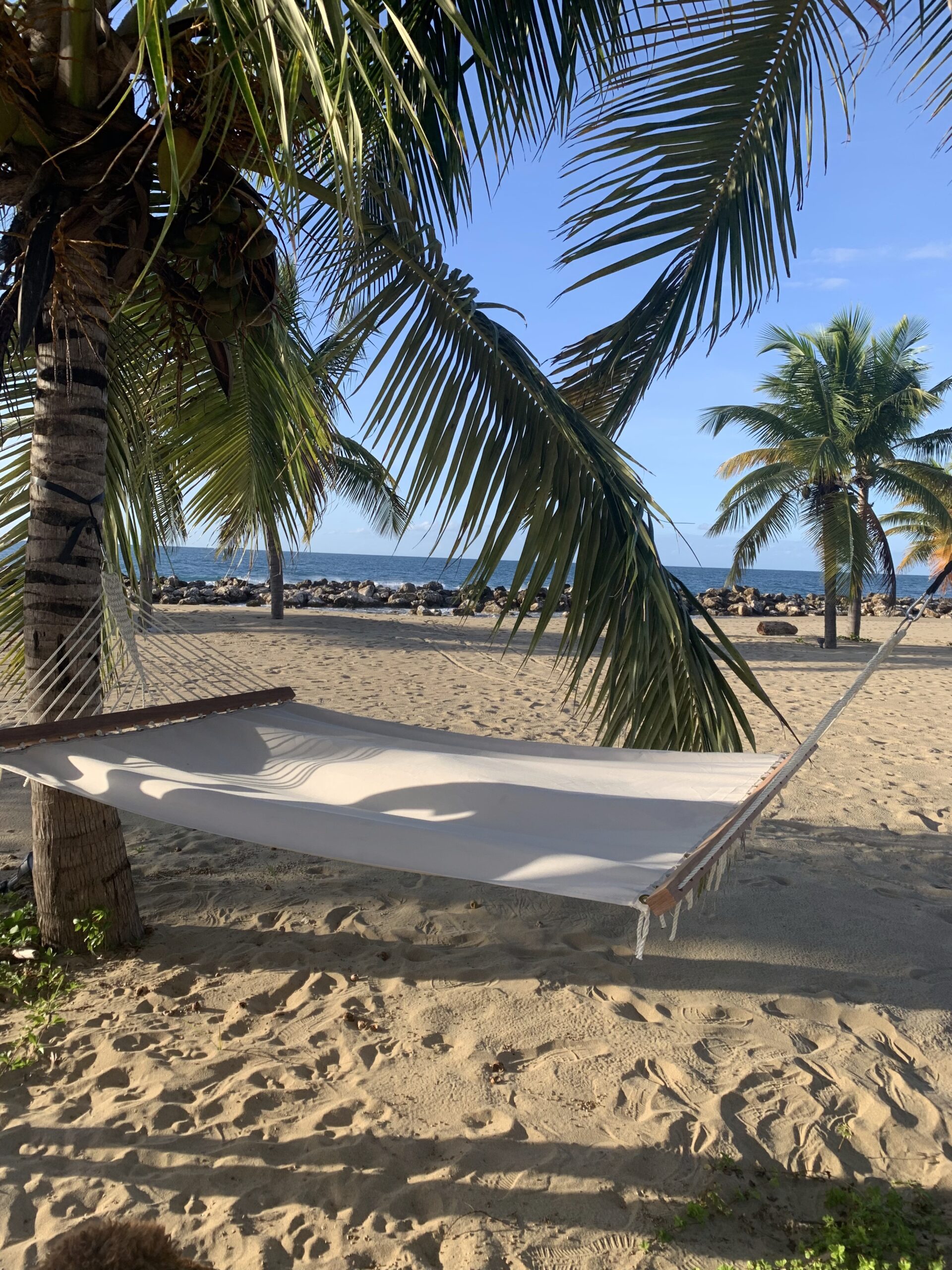 Beach Hammock